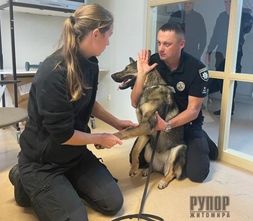 ��������� ����� �����㳿 ����������� �����쳿 ������: �������� � ������ ������ ���������� ��� ���������� ������� � ������ ����