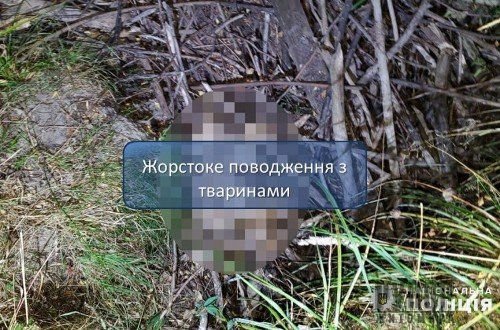 �� ����������� 46-����� ������ ����� ������ �� ���� � ����