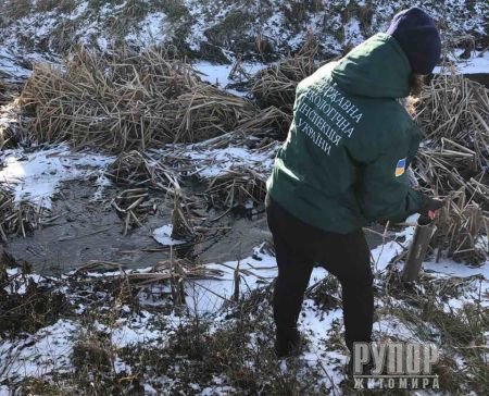 � ������� ������� ������� ����� ���� � c������ � ������ ��������� ��� ���������� ����������