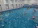 У Житомирі відбувся шкільний чемпіонат з плавання