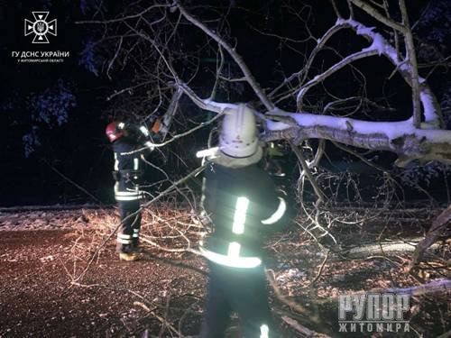 �������� ���� �� ����������� ��������� 4 �����