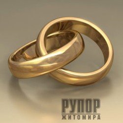    2024  113         ĳ