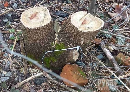 � ����������� ���� ���� ������� � ������� ������� ������ ������� 124 �����