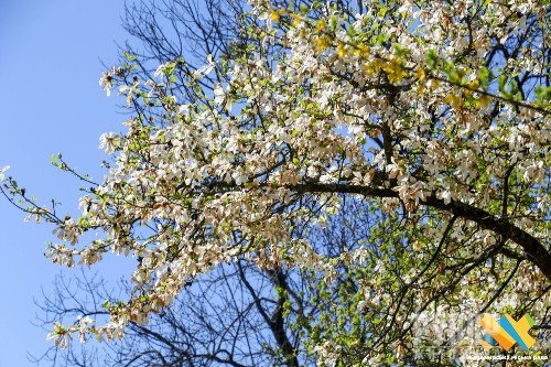 � ������� ��������� � ����� ��� ������� ����������