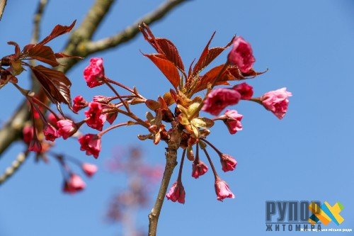 � ������� ��������� � ����� ��� ������� ����������