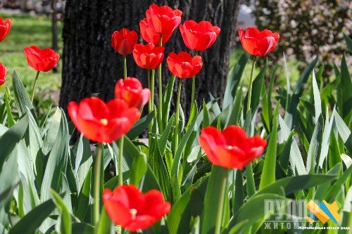 � ������� ��������� � ����� ��� ������� ����������