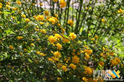 � ������� ��������� � ����� ��� ������� ����������