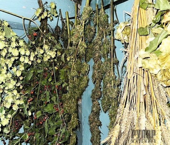 � ������� ����������� �������� �����������: ����� ������ ���������� ��� ������