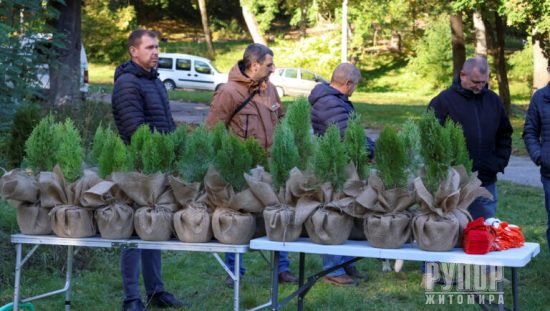 �� ����������� �������� ����� ���������� ����� ������� � ������ ������������ �������� ����������� ������ʼ�