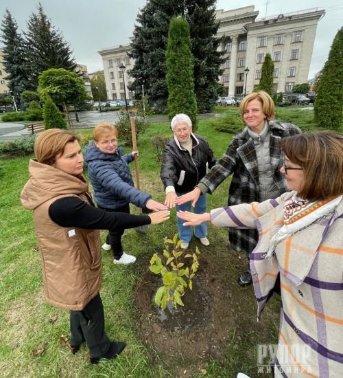 � ������� �������� �����볿 � ����� ����� ���������� ����� �������