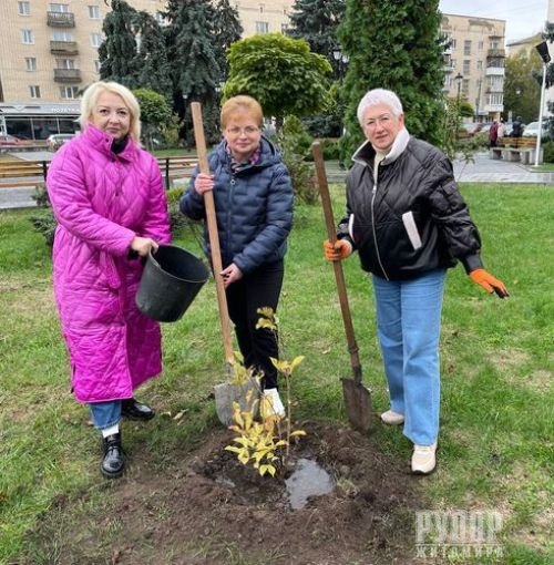 � ������� �������� �����볿 � ����� ����� ���������� ����� �������