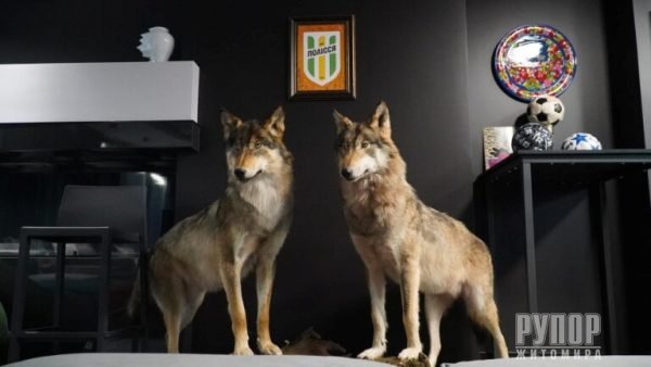 ³���� ������� ����� ����� ������ � �������� ������������� ������ �����������