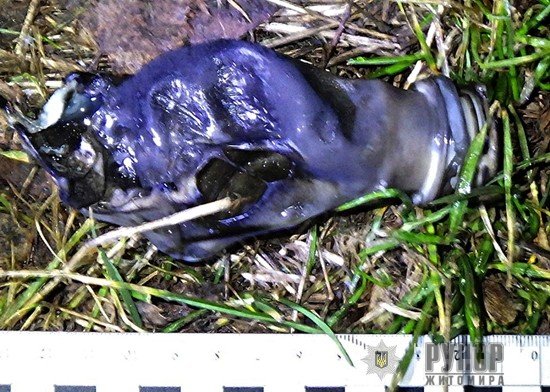 � ������� ��������� �� ��� ��������� ��������, ���������� �� ������ ��������� �����������������