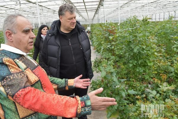 ³���� �������: ����������� ���� ������� ��������� �� ��������, ����̆ ������� �����������, ������� ������ ���� �� ������ �������