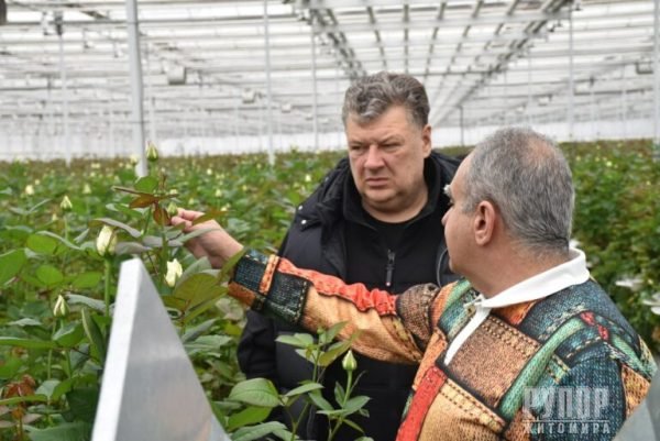 ³���� �������: ����������� ���� ������� ��������� �� ��������, ����̆ ������� �����������, ������� ������ ���� �� ������ �������