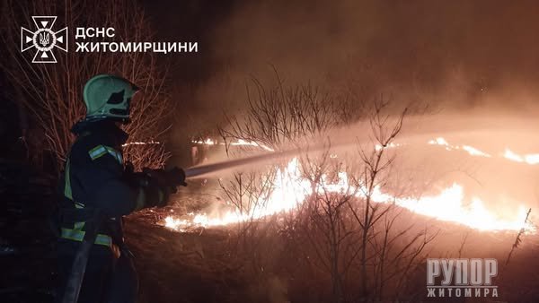 ��� ����� ������������: 115 ����� �������� �� 2 �������� ����� ������ ���� ������� �� ������� �����������