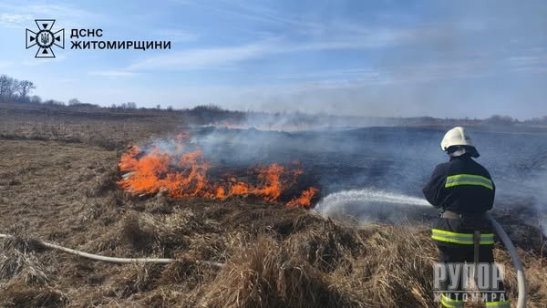 ��� ����� ������������: 115 ����� �������� �� 2 �������� ����� ������ ���� ������� �� ������� �����������