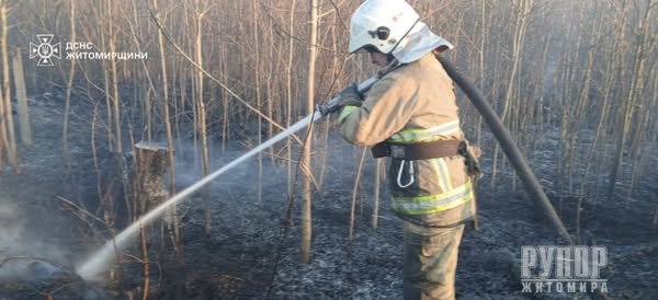 �������� ������ ���� �� ����������� ������������ ��������� 45 ����� �� �������� ���������