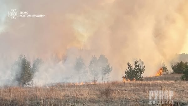 �������� ������ ���� �� ����������� ������������ ��������� 45 ����� �� �������� ���������