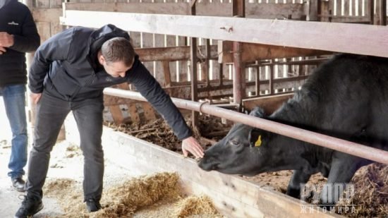 ³ : ³      㳿 , ,   