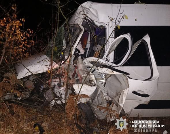    Opel Movano 璿  :  
