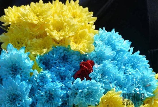 �� ��� ���������� ����� � ��������