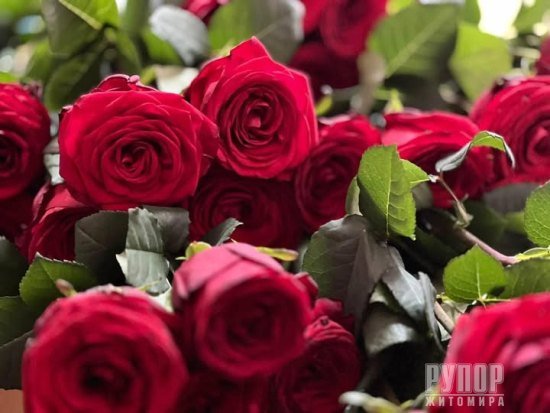 �� �������� �� ��� ���������� �����