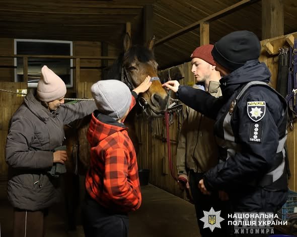 ����������� ������ ����������� ������������ ��������� ��� ���� ���������� ���������������