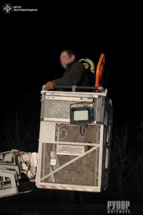 �� ����������� ������� ���� ��������� �������, ���� ���� � ������ � ������