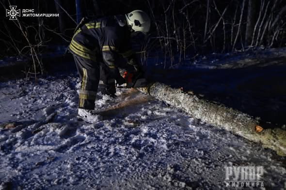 ������������ ����������� 13 ���� �������� �� �������� ������� ������