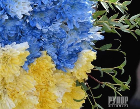 �� ��� ���������� ����� � ��������