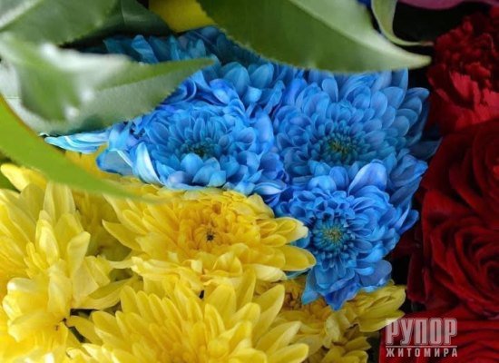 ���� ����� ������ ������ ����� �� ��� ���������� �� ������ ��������