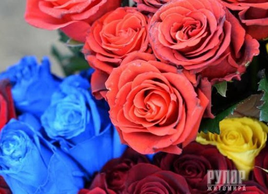 ����� �� � ��� ����� ����� �� ��� ���������� �� ��������