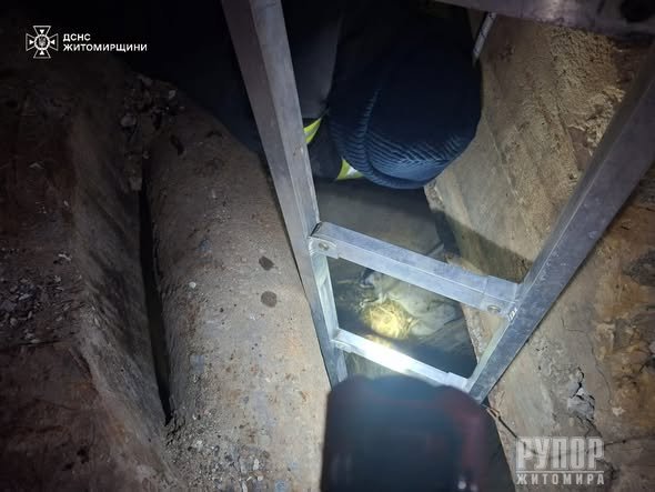 � �������� ������� ���� ��������� ������, ���� �������� �� ����������� �������������� ��������