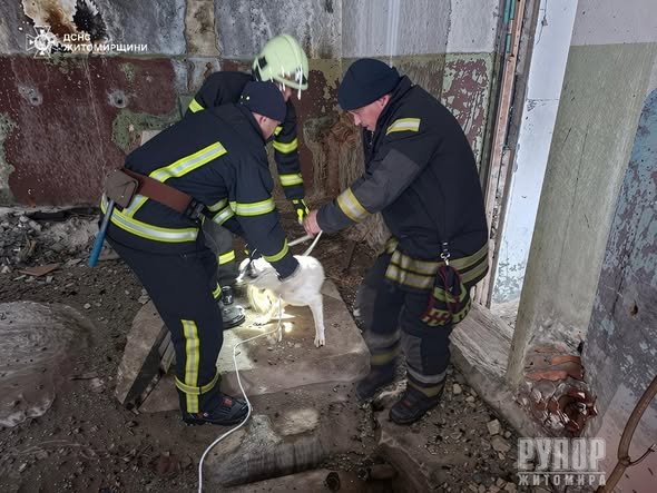 � �������� ������� ���� ��������� ������, ���� �������� �� ����������� �������������� ��������