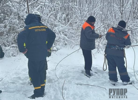 �� ����������� ����� ������ ����������� �������� ������ ���� ��������������