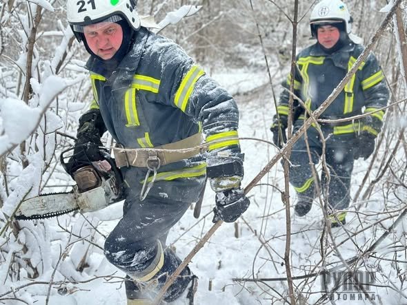 �� ����������� ����� ������ ����������� �������� ������ ���� ��������������