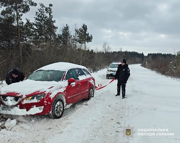 ������ ����: ��������� ����������� ����������� ����������