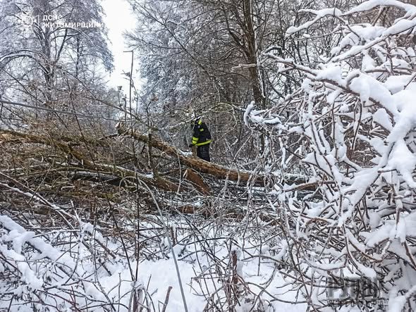 �� ����������� ������������ ����������� �������� �������� ��������� ����� ������� ������� �����