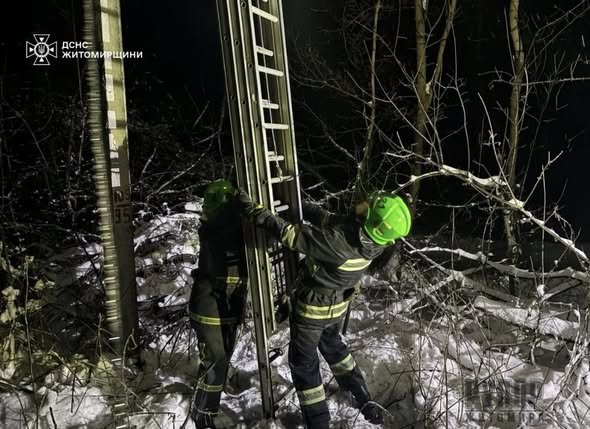 �� ����������� ������������ ����������� ��������� ��� ��������� ������� ������