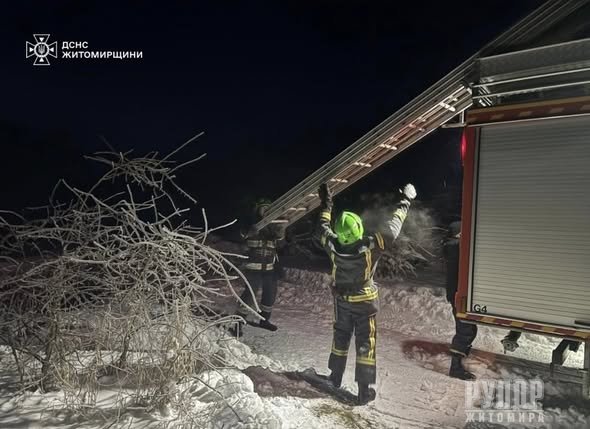 �� ����������� ������������ ����������� ��������� ��� ��������� ������� ������