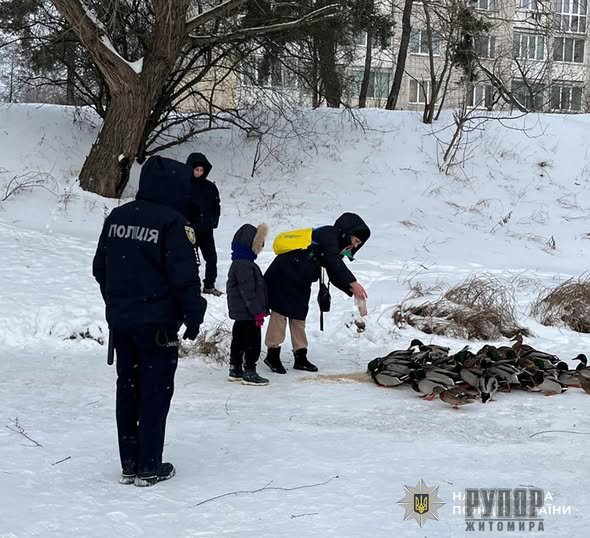 � ������������� ������ ��������� �� ������������ ��������� ���������� ������� ������� �� ����