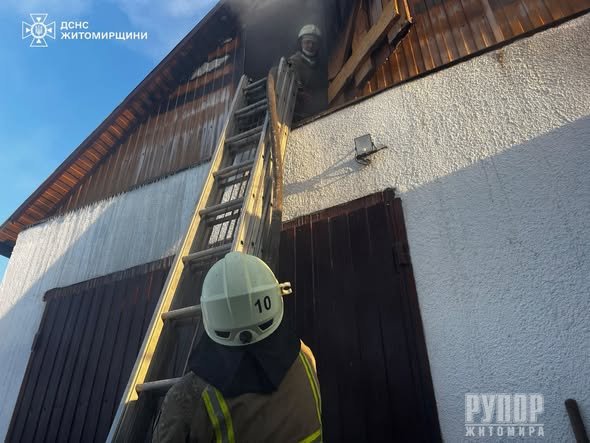 � ������ ������������ ��������� ��������� � ����������� �����