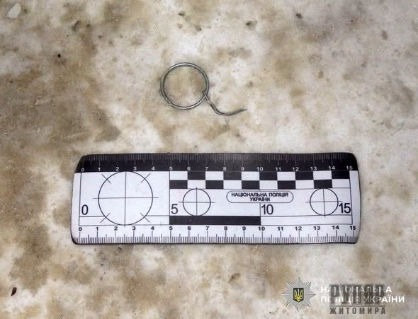 ���������� � ������� ���������: ��������� ����������� ��������� ��������� �� ��������