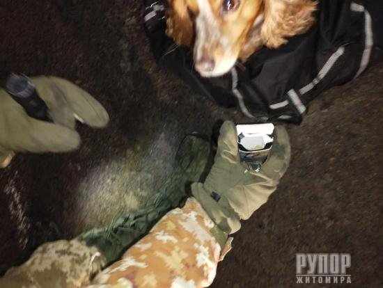 ���������� ������������� ������� ������� � �����, ����������� �� ����������� �����������