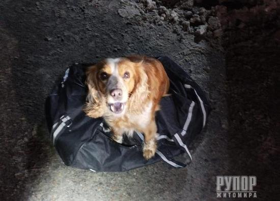 ���������� ������������� ������� ������� � �����, ����������� �� ����������� �����������