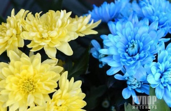 ���� ����� ��� ����� ����� �� ��� ���������� �� ��������