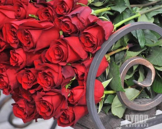 �� ��� ���������� ����� � ��������