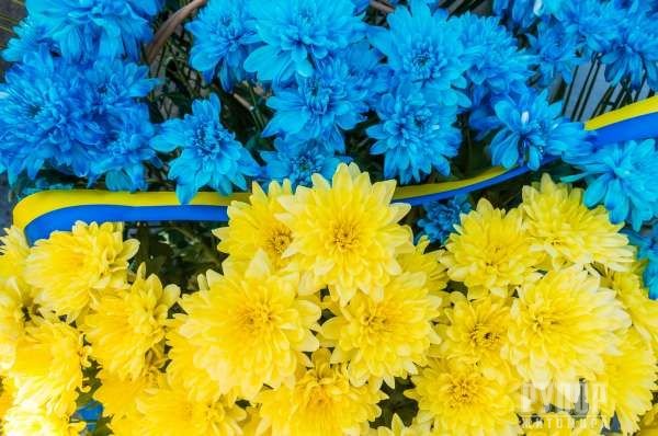 �� ��� ���������� ���-�������� � ��������