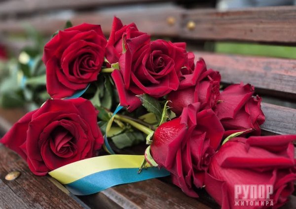 ������� ���������� �� �����-����������